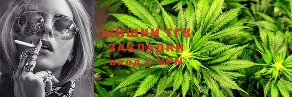 PSILOCYBIN Балахна