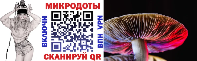 Псилоцибиновые грибы Magic Shrooms  мега как войти  Сафоново  купить  сайты 